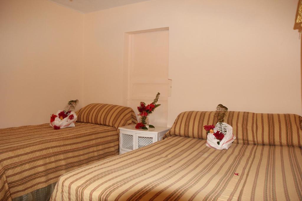Executive Shaw Park Guest House Ocho Rios Bilik gambar