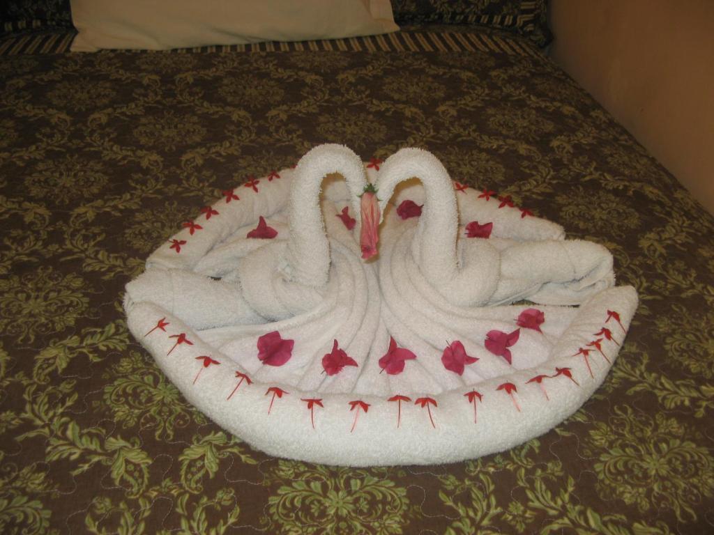 Executive Shaw Park Guest House Ocho Rios Luaran gambar