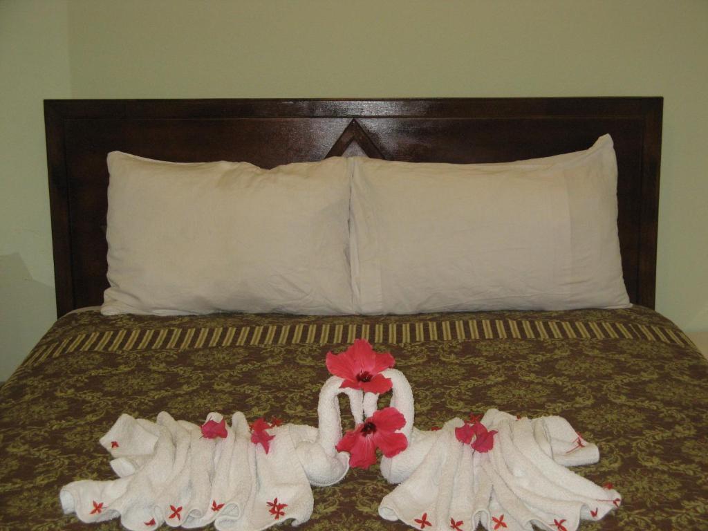 Executive Shaw Park Guest House Ocho Rios Luaran gambar