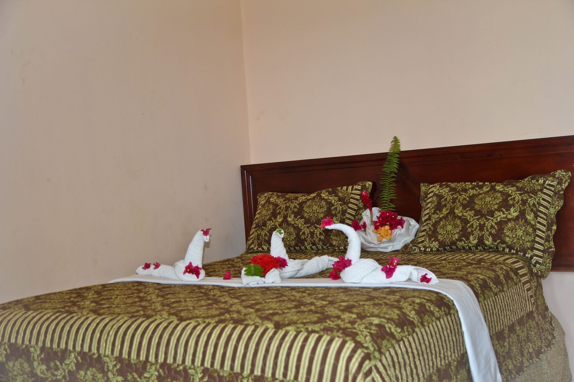 Executive Shaw Park Guest House Ocho Rios Luaran gambar