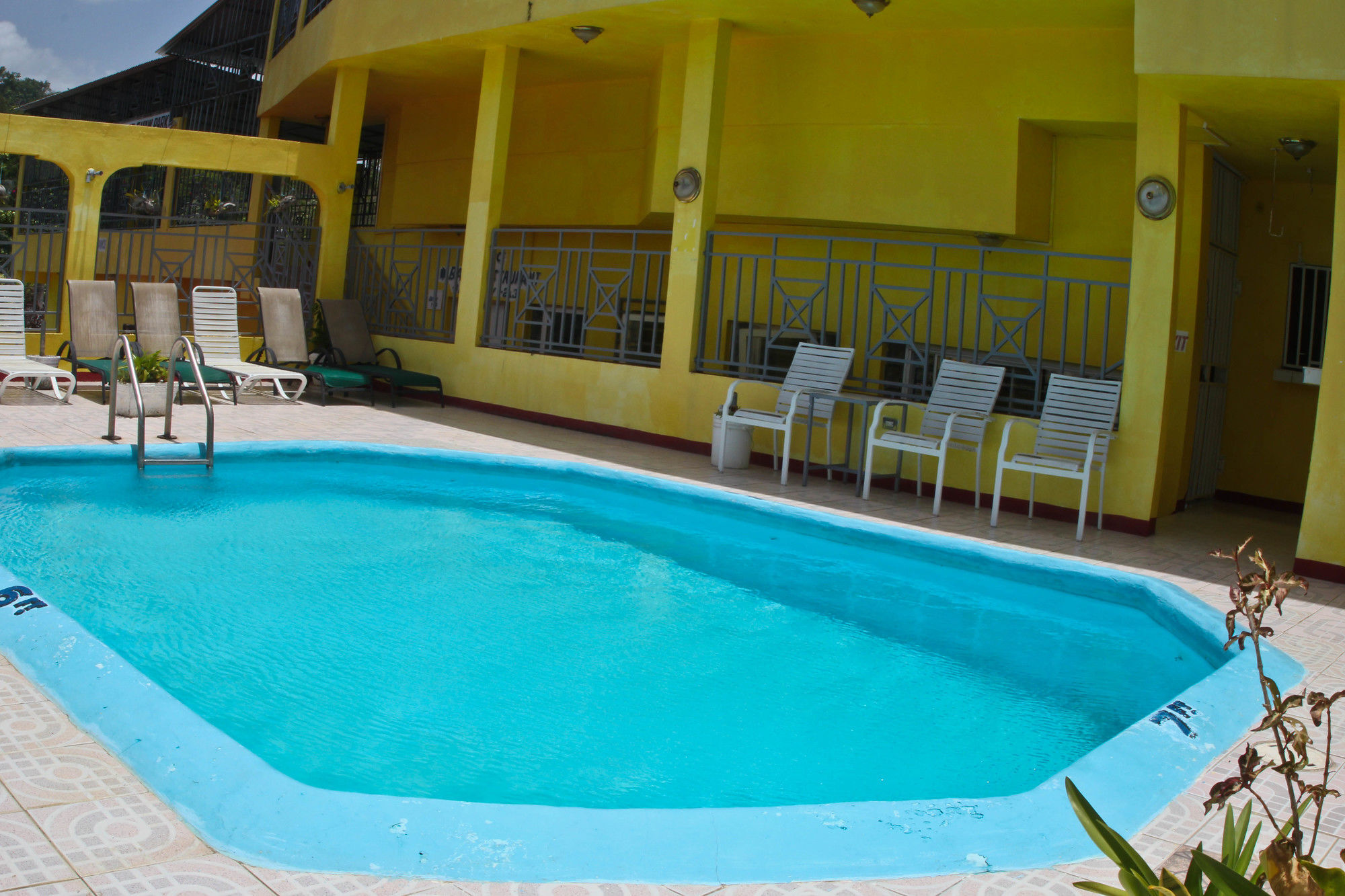 Executive Shaw Park Guest House Ocho Rios Luaran gambar