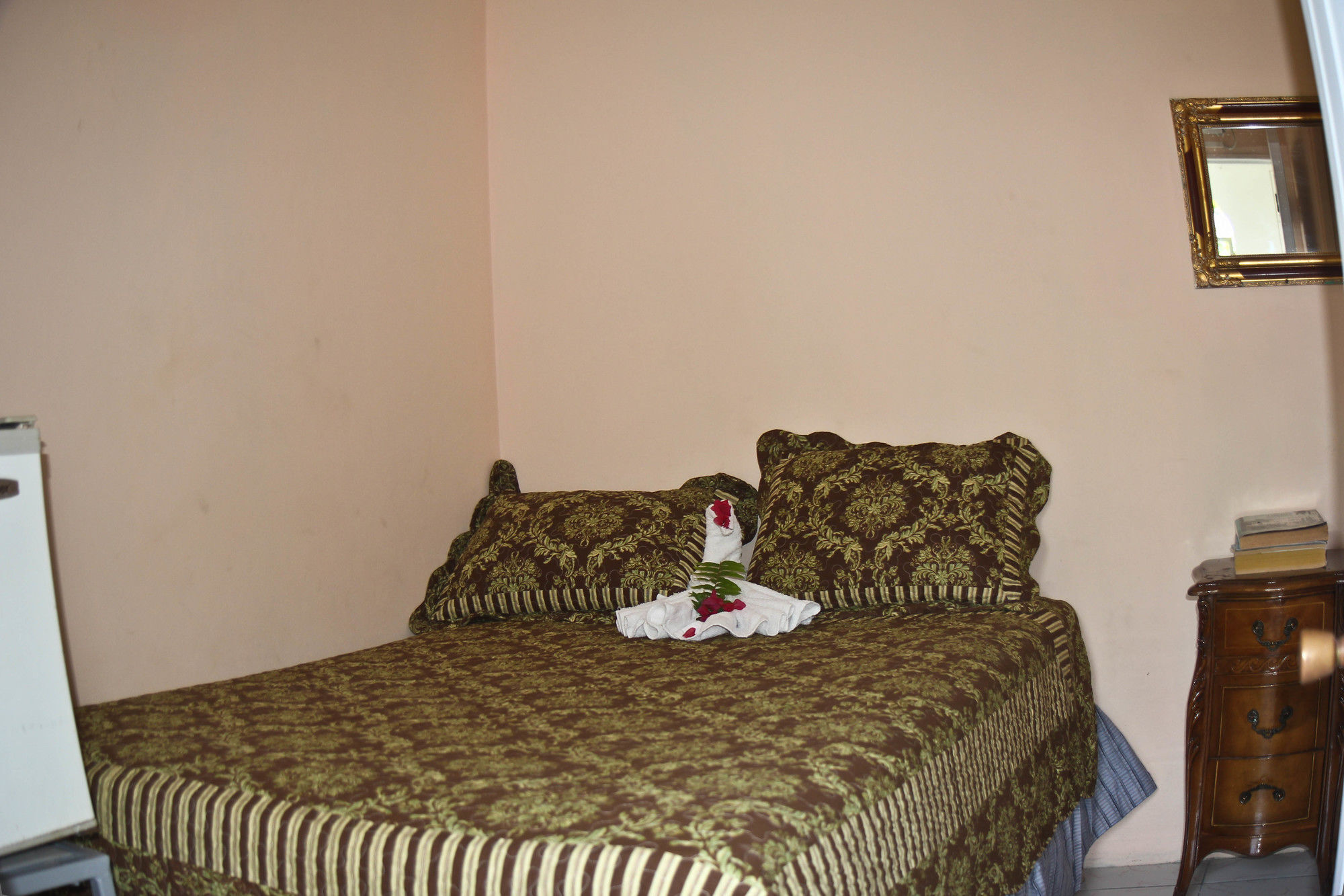 Executive Shaw Park Guest House Ocho Rios Luaran gambar