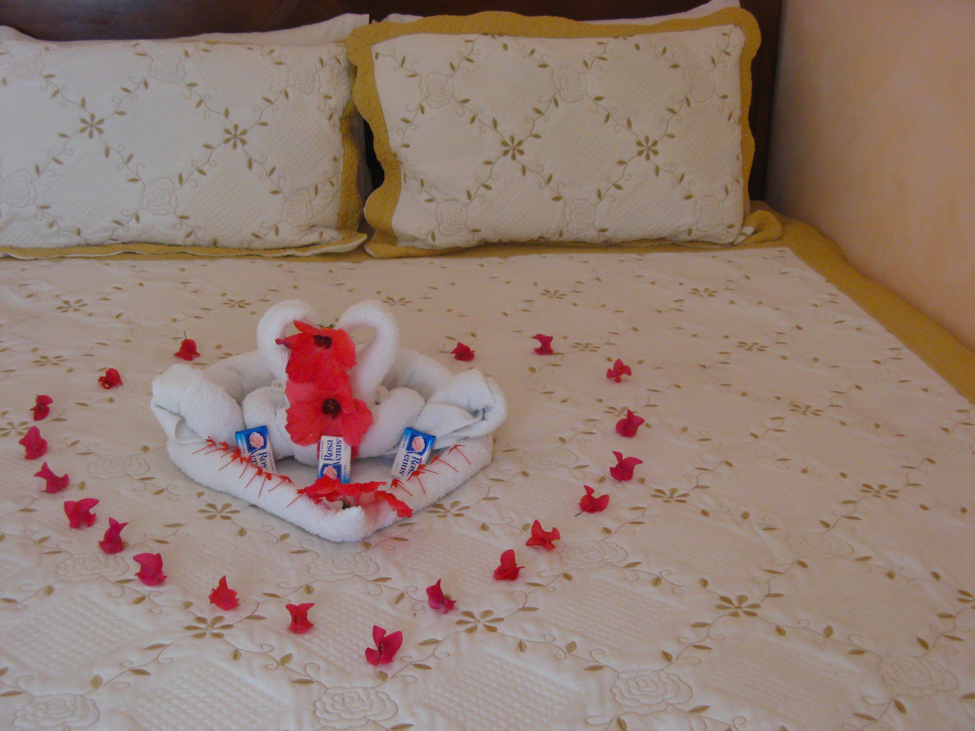 Executive Shaw Park Guest House Ocho Rios Luaran gambar