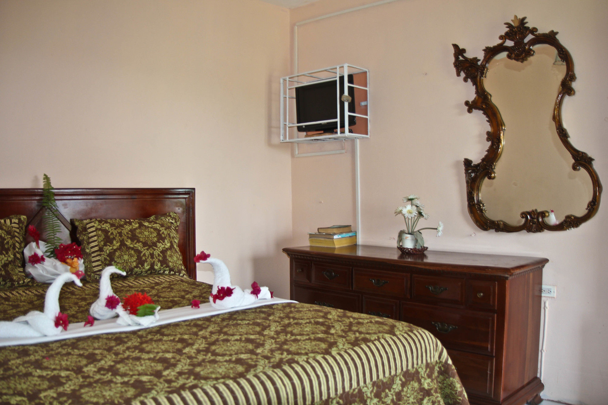 Executive Shaw Park Guest House Ocho Rios Luaran gambar